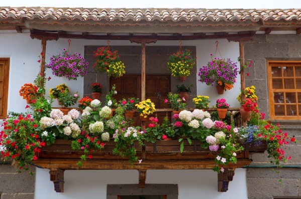 A beautiful balcony garden