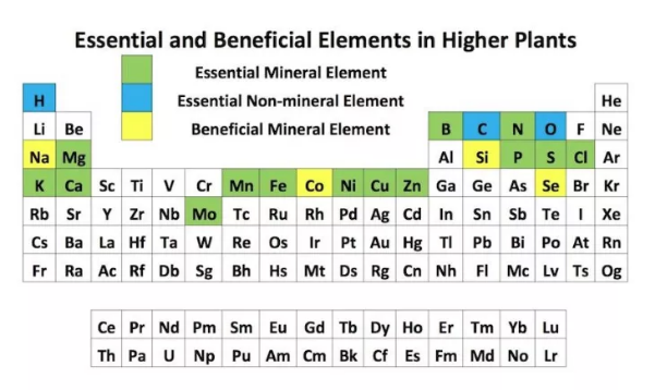 What are the base nutrients for plants?