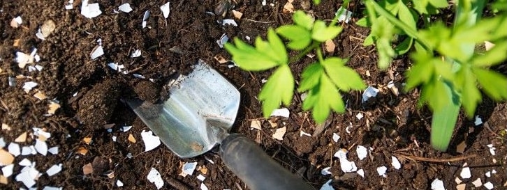Nourish the soil before planting
