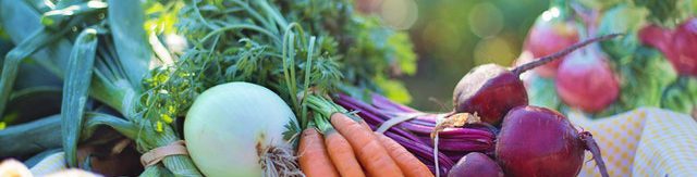 vegetables harvesting self grown