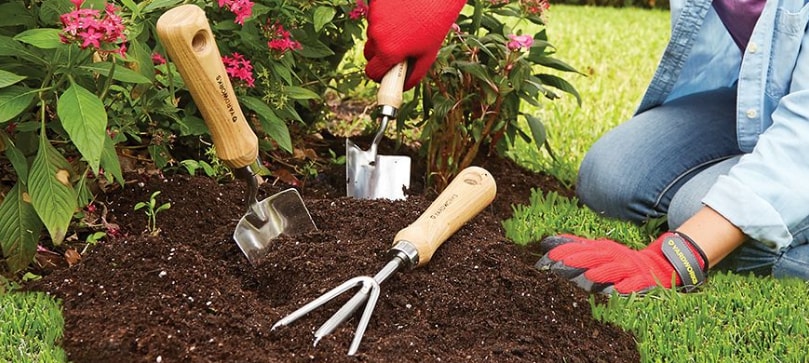 Find out what are the best gardening tools for a beiner.