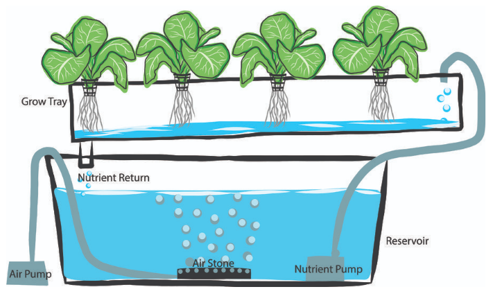 What is Hydroponic growing?