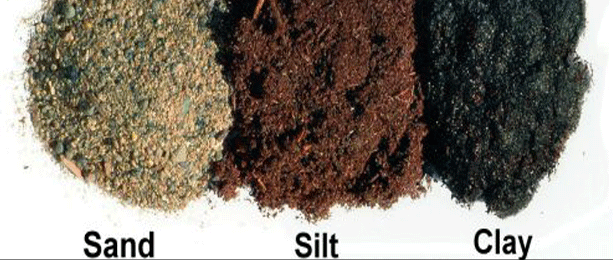 How can you identify the type of soil?