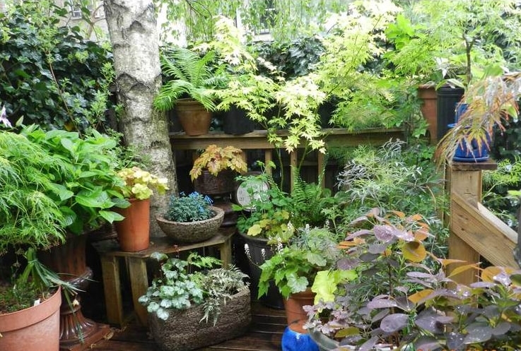 Everyone can have a small garden in their home
