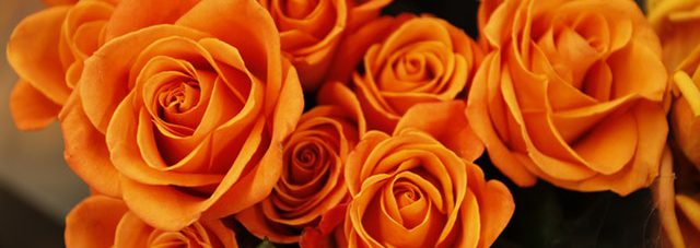 orange blooming roses bouquet