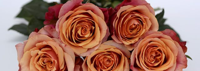 orange pinkish blooming roses bouquet
